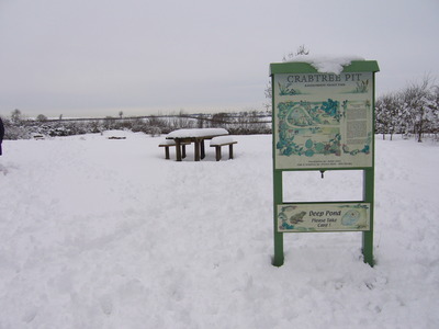 Pocket Park in the Snow