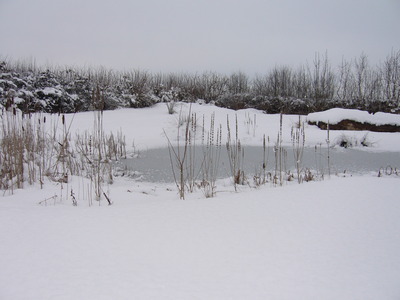 Pocket Park in the Snow